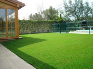 freedomgrass